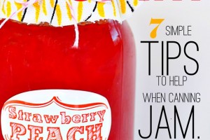 homemade-strawberry-peach-jam-recipe-and-instructions-for-beginners-copy.jpg