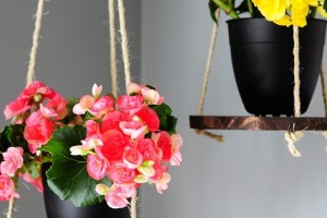 hanging-flowers.jpg