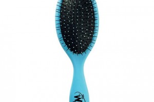 the-wet-brush.jpg