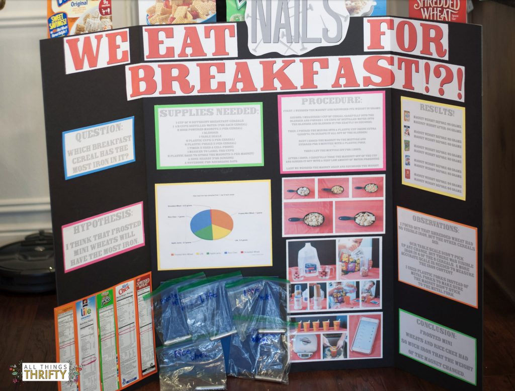first-place-elementary-school-science-fair-project