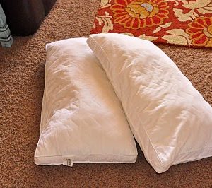 Adorable throw pillows! thumbnail