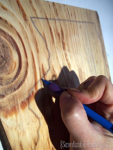 Trace the perimeter of your state onto wood and cut a state plaque! [Sawdust and Embryos]