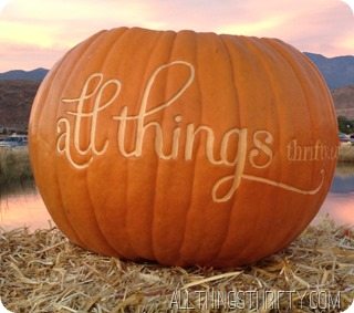 all things thrifty pumpkin