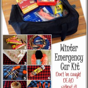 Winter Emergency Kit thumbnail