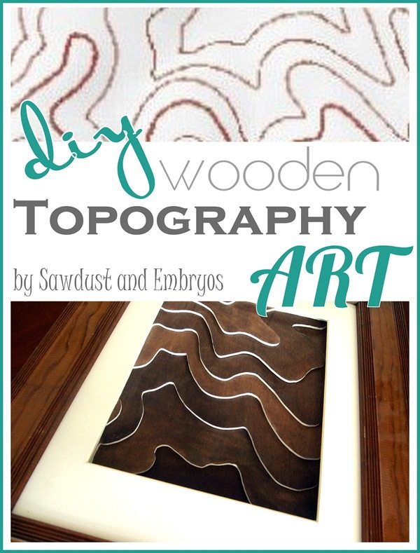 DIY Wooden Topography Art {Sawdust and Embryos}