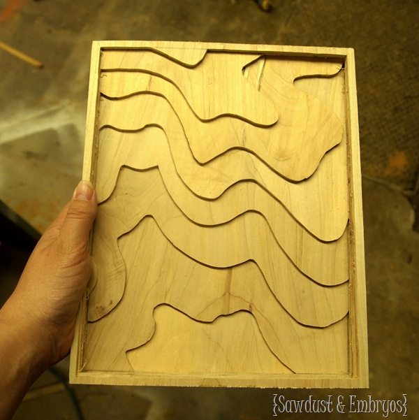 Wooden Topography Artwork {Sawdust and Embryos}