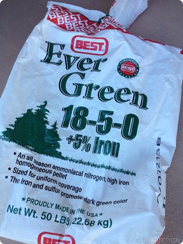 best-fertilizer-for-grass