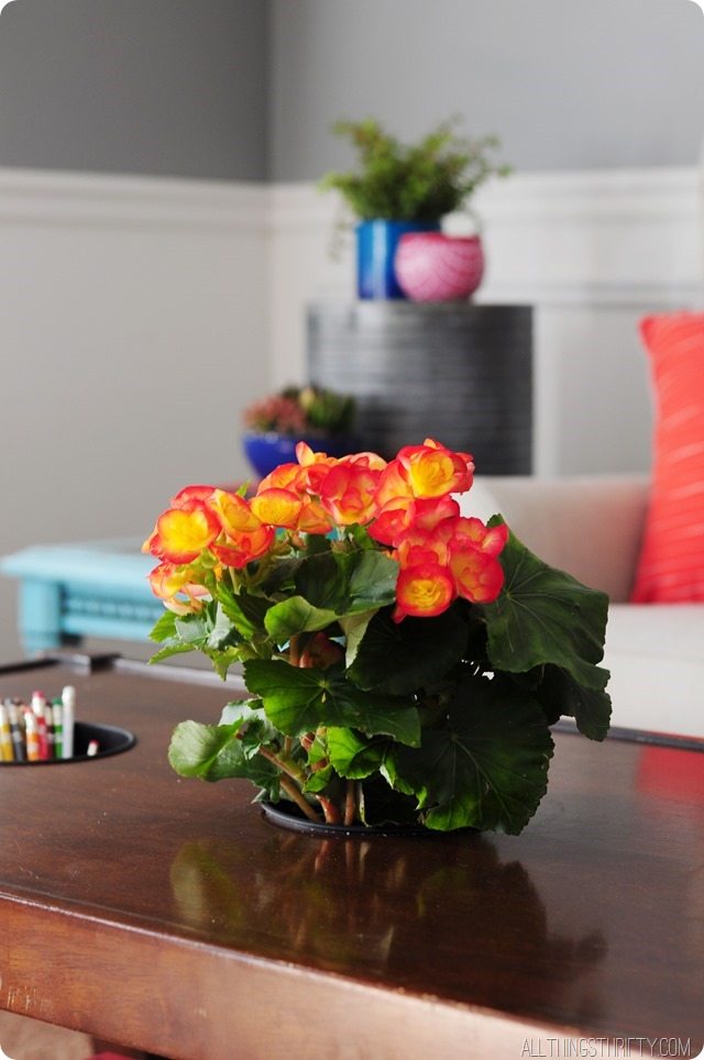 coffee-table-with-planters