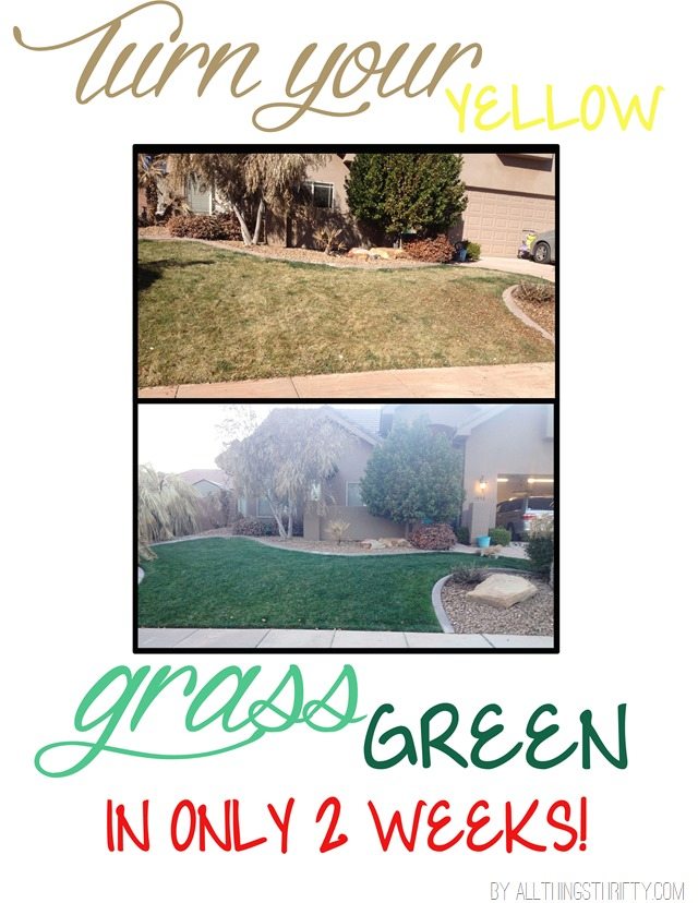 grass green copy