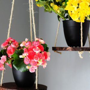 Sprucing up for Spring: DIY Plant Hanger thumbnail