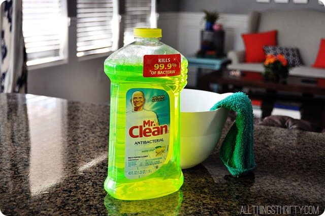 mr-clean-cleaner