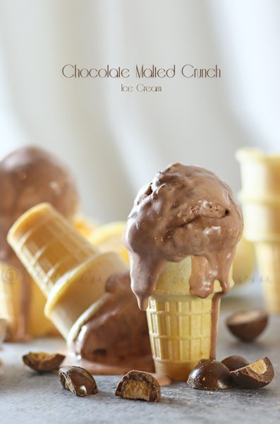 Chocolate Malted Crunch Ice Cream from Gina & Kleinworth & Co.