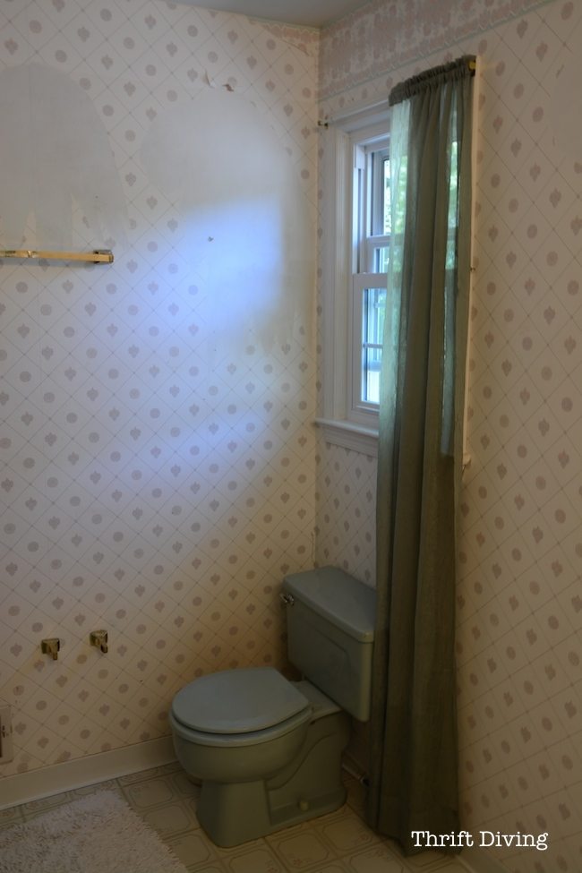 Thrift Diving Bathroom Makeover