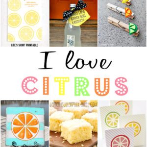 Citrus Crafts and Recipes thumbnail