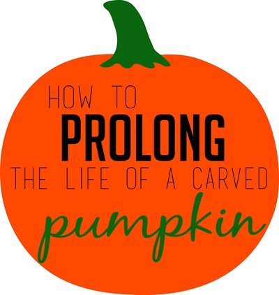 How to prolong the life of a carved pumpkin thumbnail