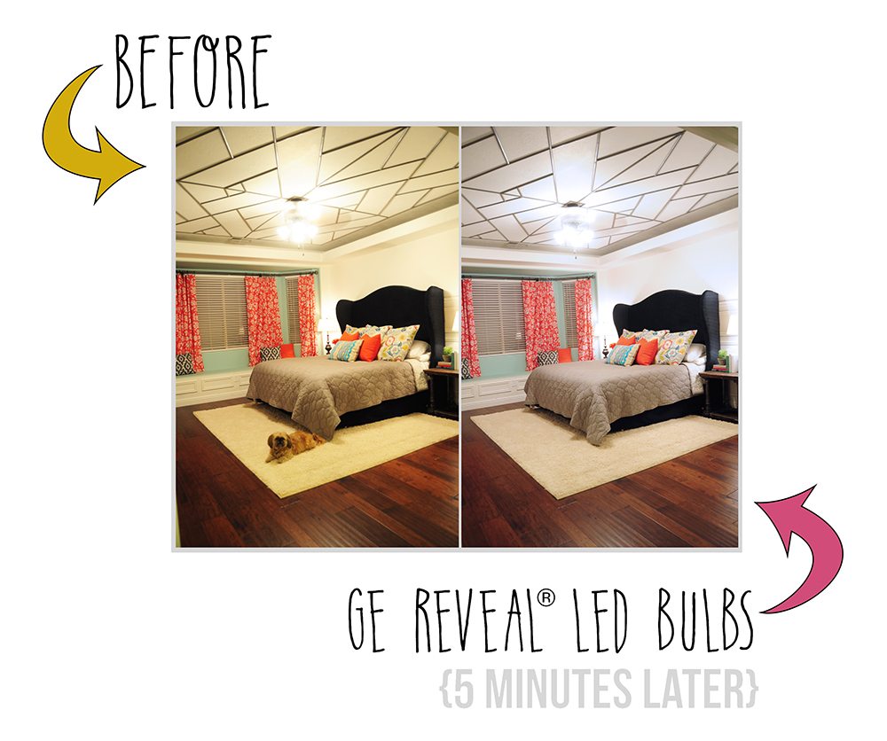 GE Reveal Light Bulb makeover 1 copy small