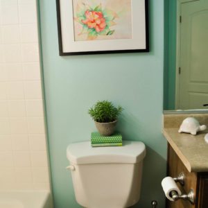 Bathroom Makeover from Yucky Tan to Bright and Airy thumbnail