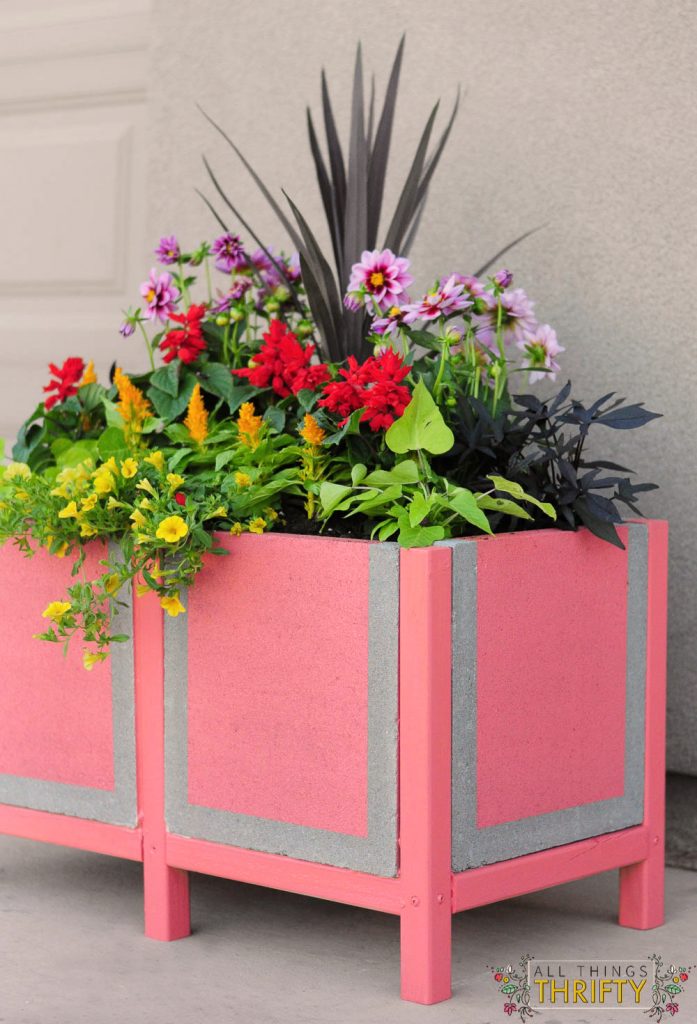 DIY Coral Paver Planter