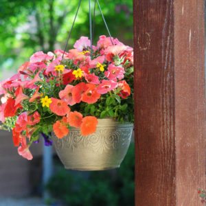 Coral Hanging Flower Pots thumbnail