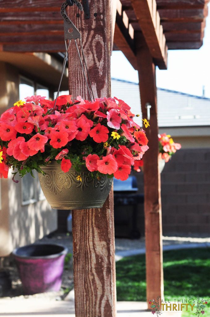 Hanging Coral Flower Pots (5 of 7)