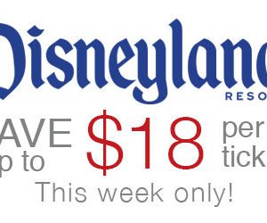 Best Price of the Year…. For the Happiest Place on Earth! thumbnail