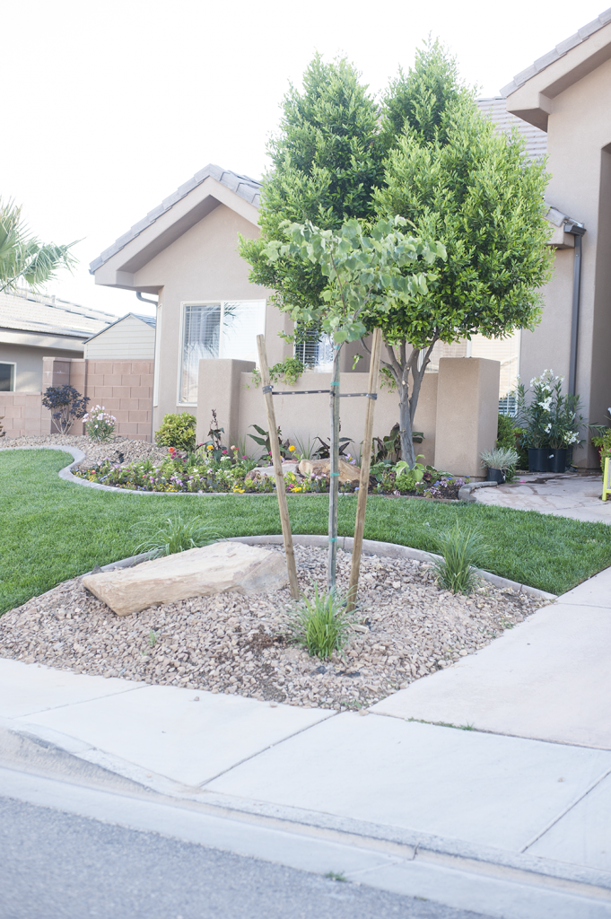 Front Yard Landscaping Ideas