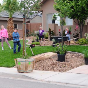 Front yard landscaping progress {part 2} thumbnail