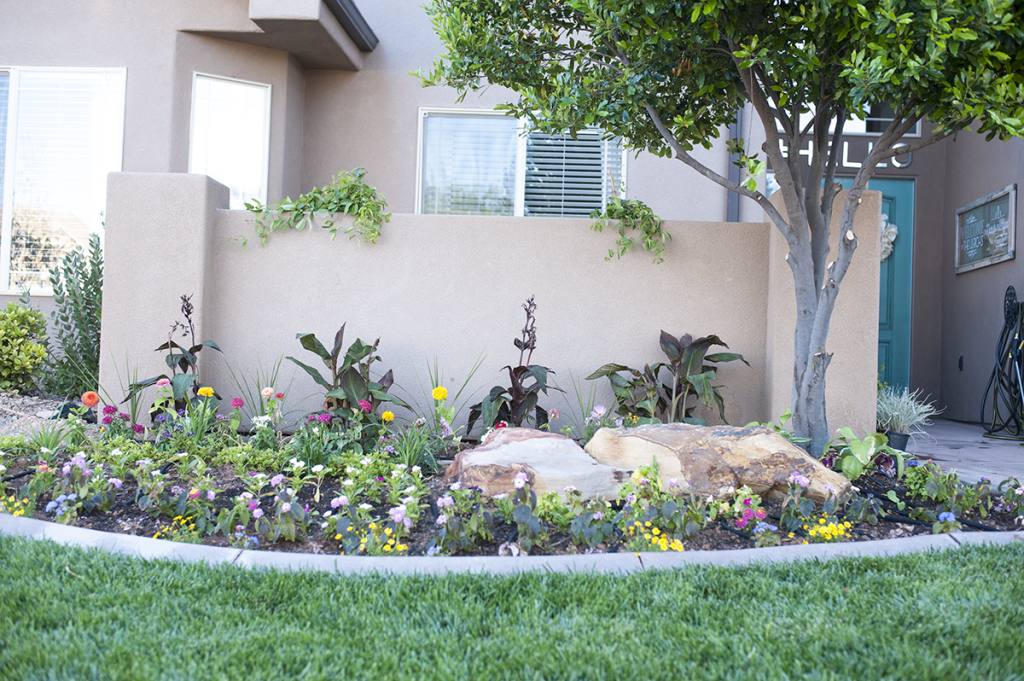 flower bed in front yard