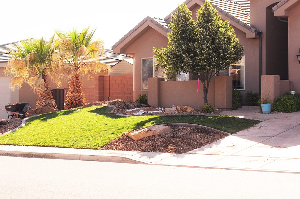 front yard landscaping overhaul