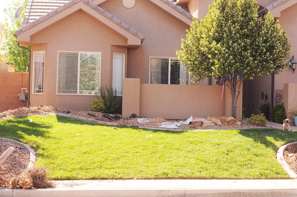 landscaping in front yard before