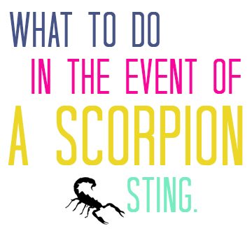 what to do in the event of a scorpion sting