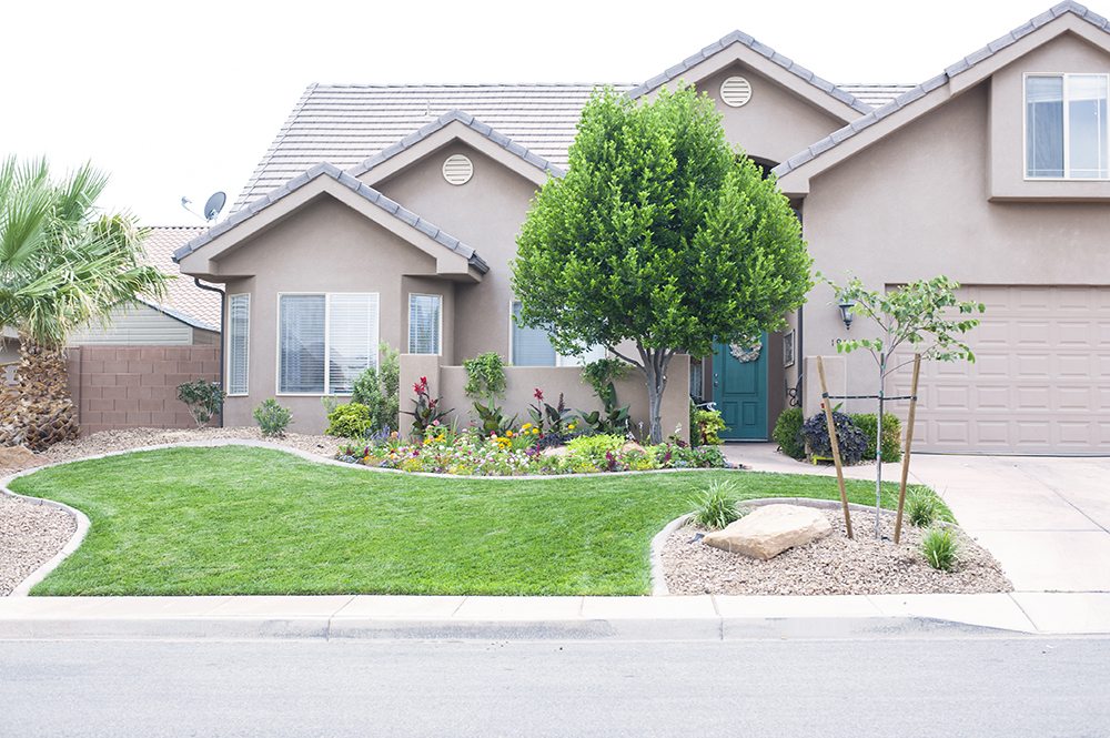 Front Yard Landscaping Progress for web