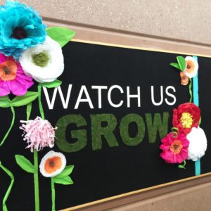School Bulletin Board “Watch us Grow” thumbnail