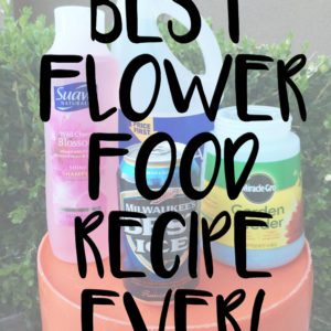 DIY Flower Food Recipe that will Change Your Life. thumbnail