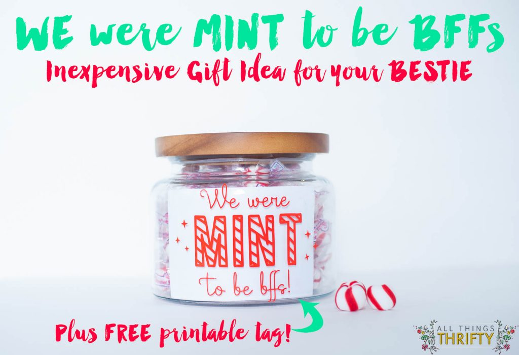 We were mint to be BFFs gift idea copy-2