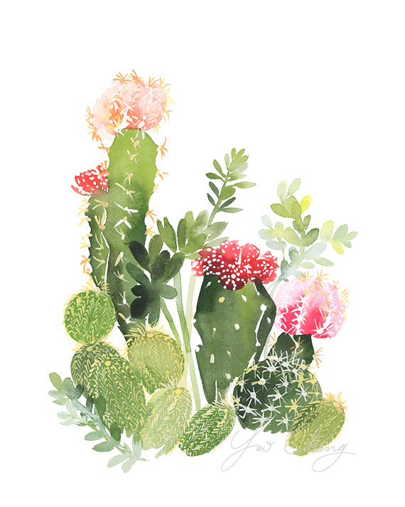 Cacti