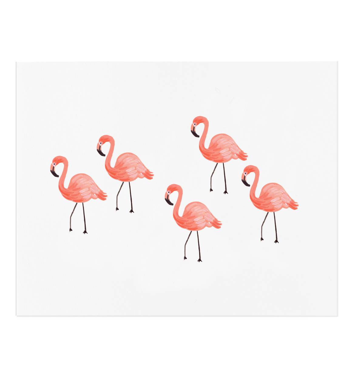 apm050-flamingo-02