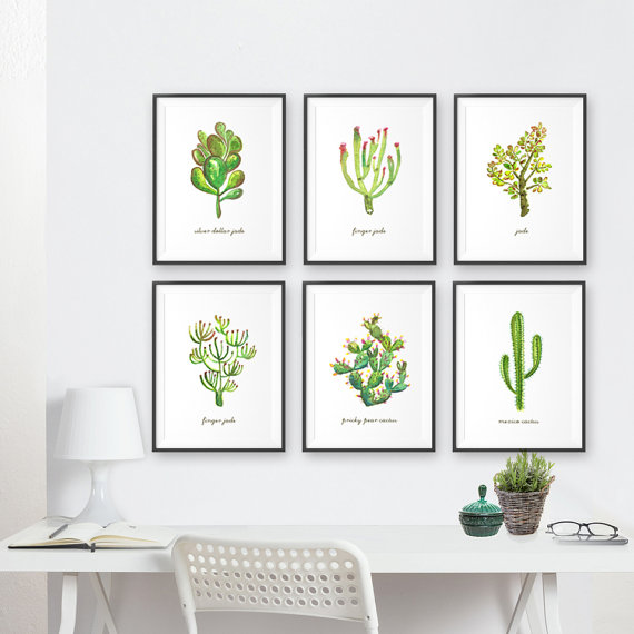 cacti