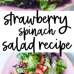 Strawberry Spinach Salad with Bacon, Sugared Almonds, and Wontons thumbnail
