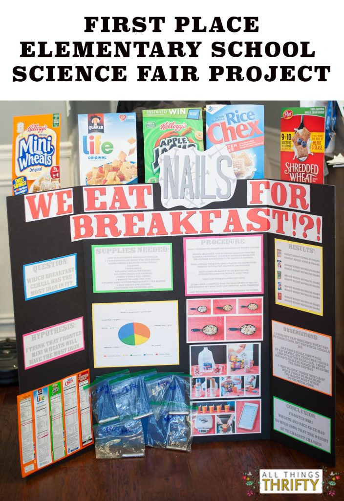 Science Fair Chart Ideas