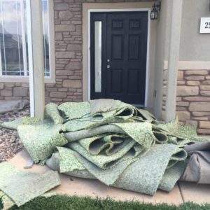 Jo’s House Remodel Project: Flooring, Part 2 Carpet Removal thumbnail