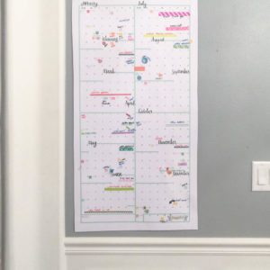 2017 YEAR at a GLANCE FREE PRINTABLE Calendar thumbnail