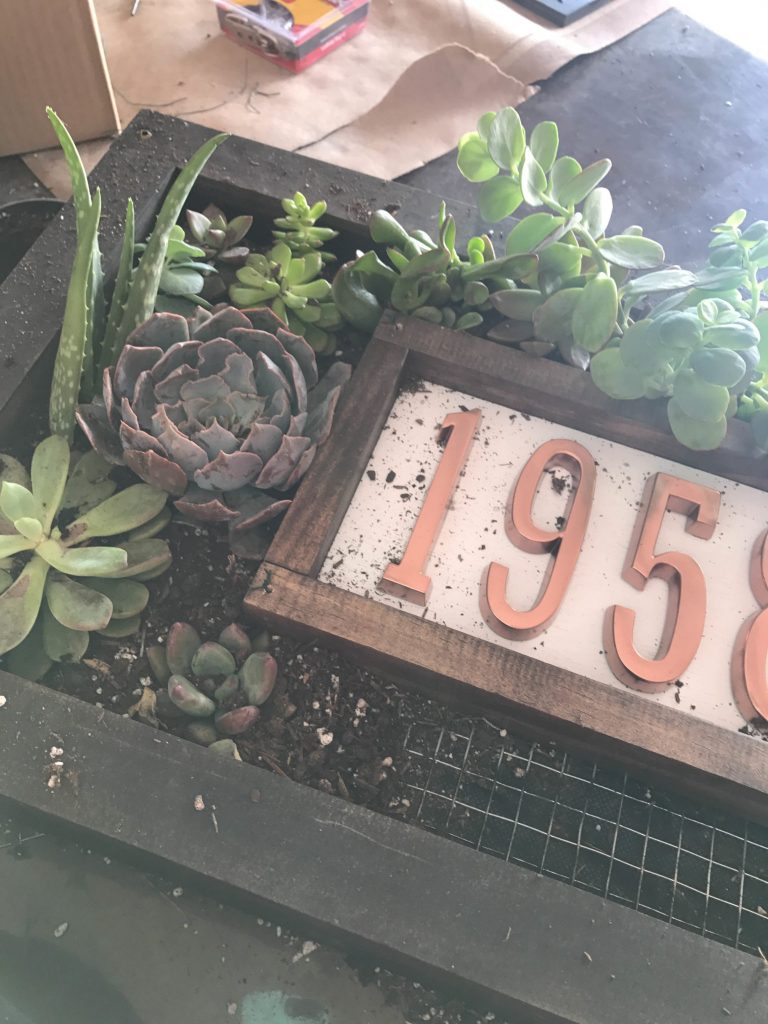 Custom House Numbers Succulent Garden-11