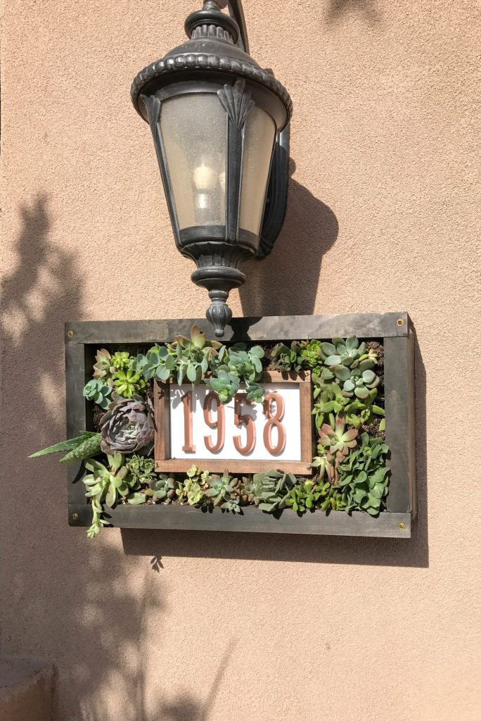 Custom House Numbers Succulent Garden-6