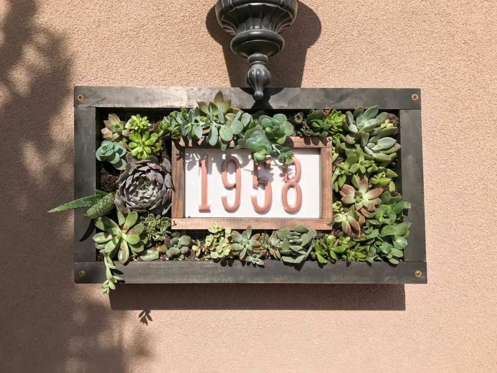 Custom House Numbers Succulent Garden-8