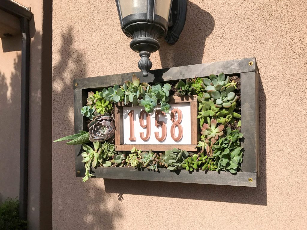 Custom House Numbers Succulent Garden-9