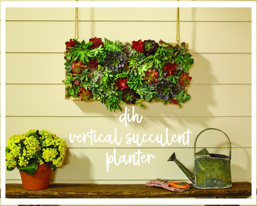 DIH_Vertical_Succulent_Garden_Beauty