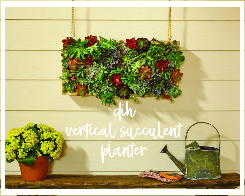DIH vertical Succulent Garden {with Home Depot} All Things