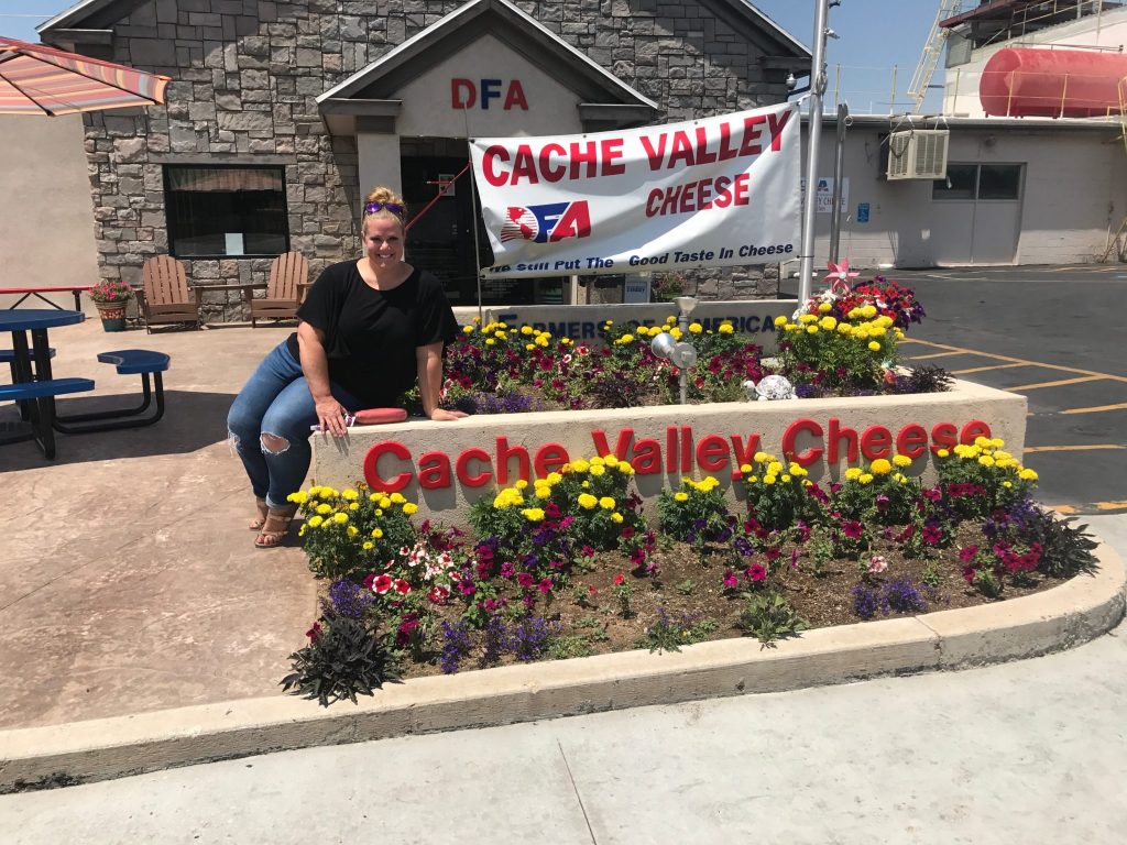 Cache Valley Cheese Beaver Utah