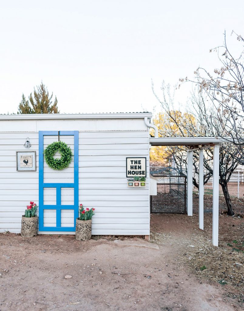 Chicken Coop Decor! – Lizzy & Erin